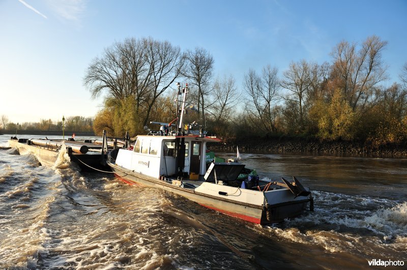 Sleepboot op de Schelde