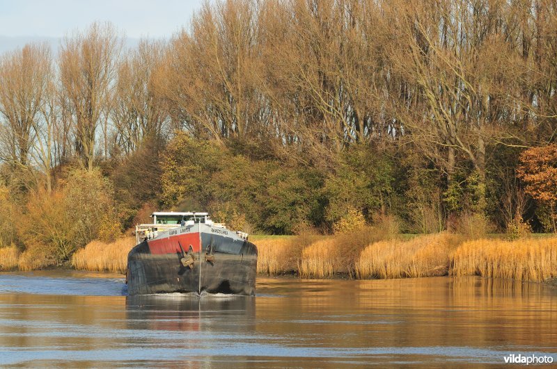 Vrachtboot op de Schelde