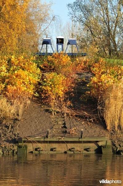 Overstort op de Schelde