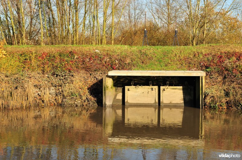 Overstort op de Schelde