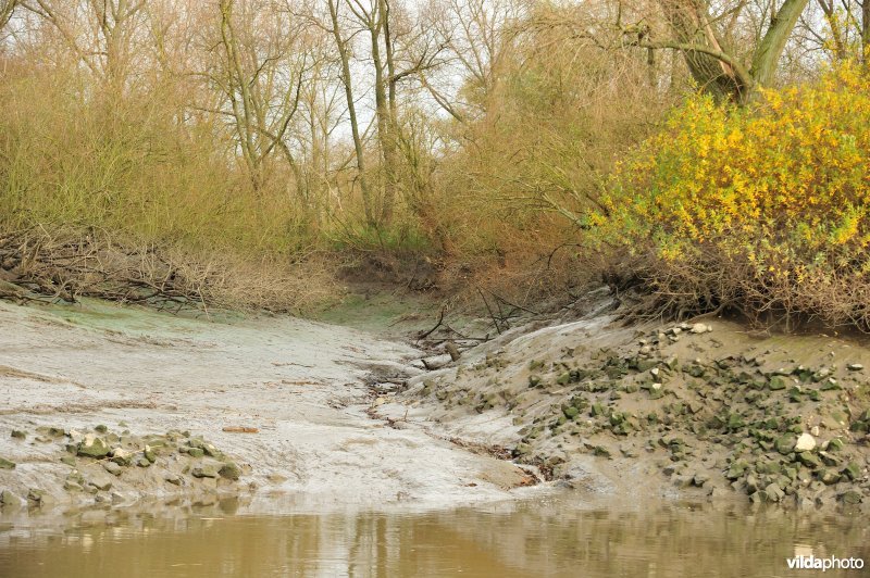 Zoetwaterkreek