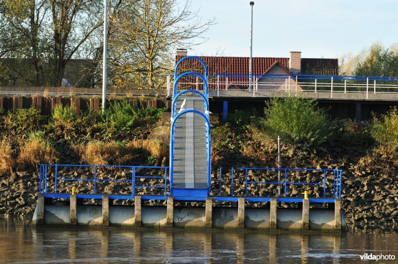 Steiger langs de Schelde