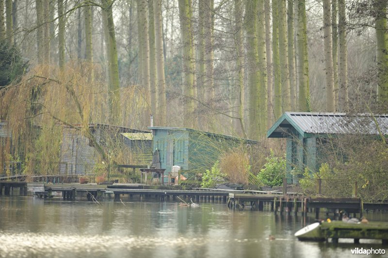 Vakantiehuisjes langs de oude Schelde