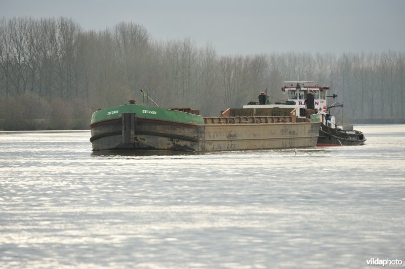 Vrachtboot op de Schelde