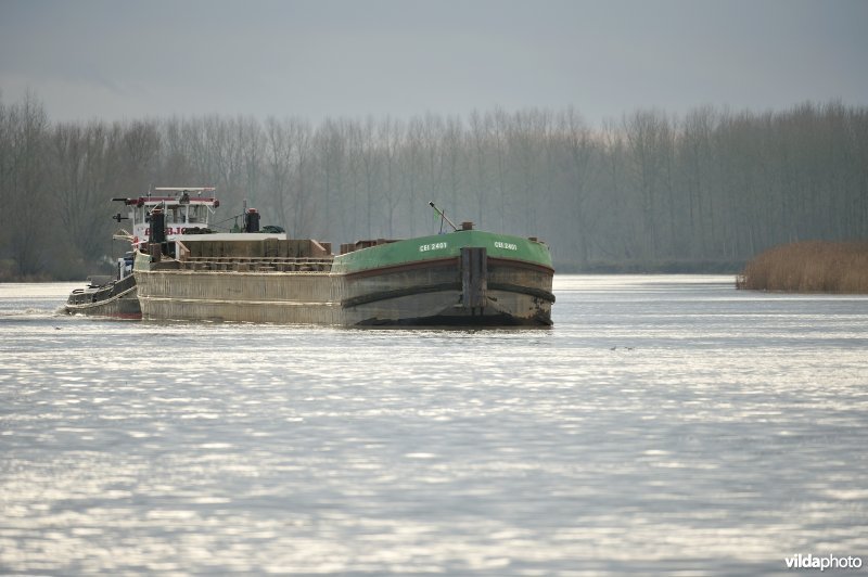Vrachtboot op de Schelde