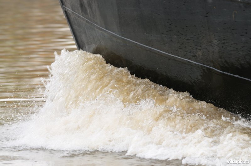 Vrachtboot op de Schelde