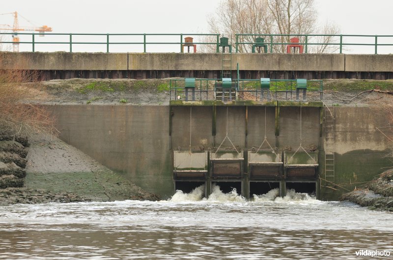 Overstort op de Schelde