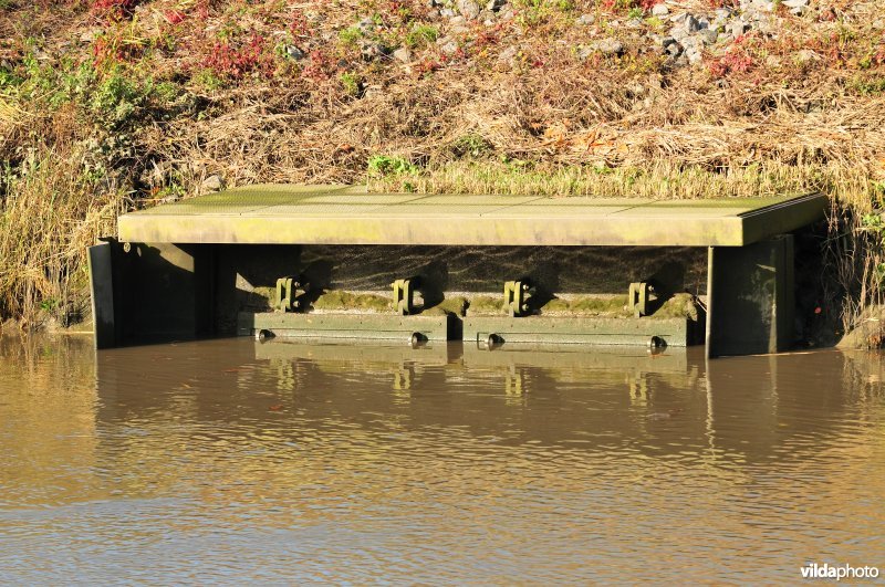 Overstort op de Schelde