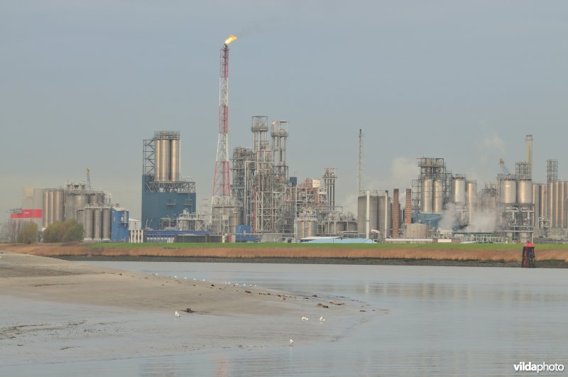 Industrie langs de Schelde