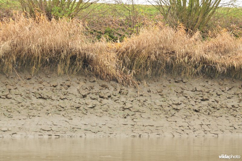 Schelde met steenstortoever