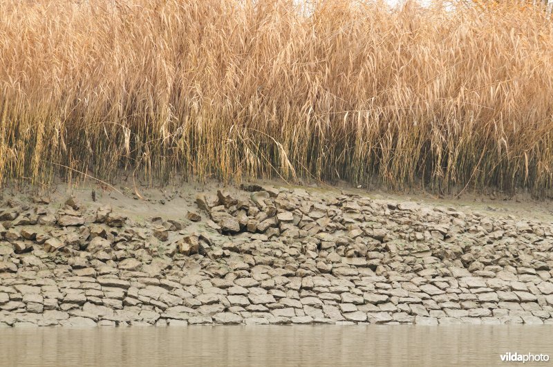 Schelde met steenstortoever