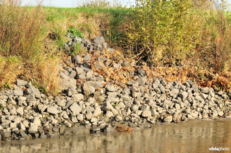 Schelde met steenstortoever