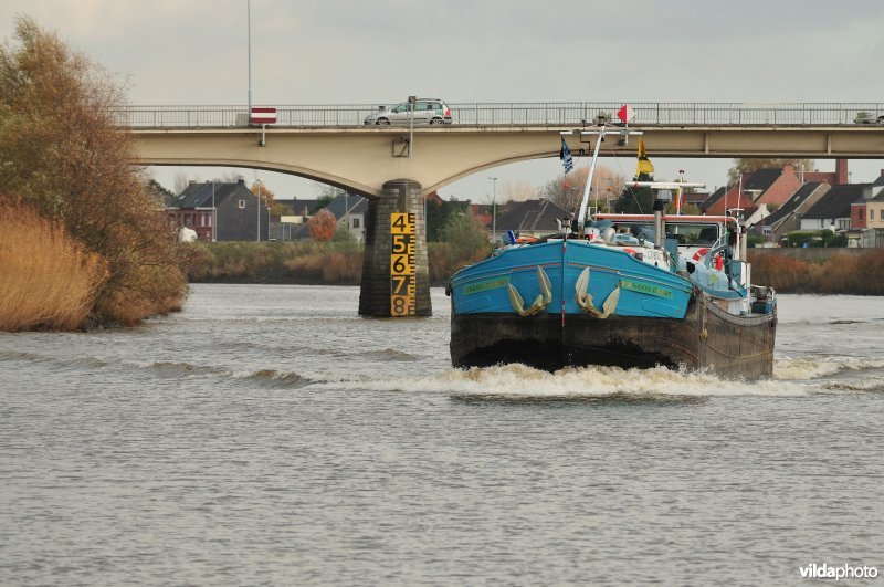 Vrachtboot op de Schelde