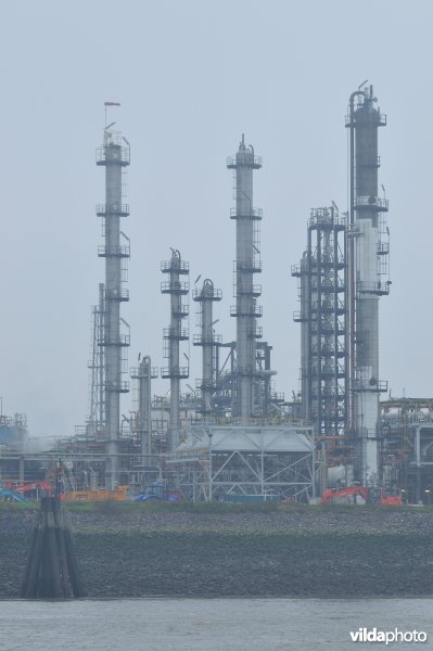 Zeeschelde in de Haven van Antwerpen