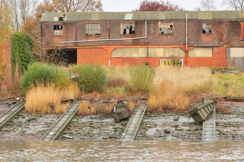 Scheepswerf in Steendorp