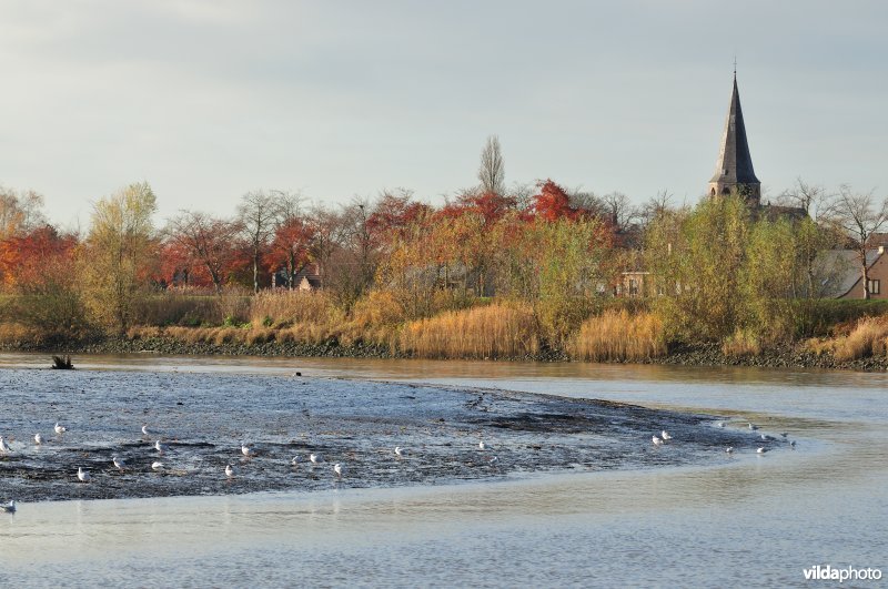 Scheldeschor van Uitbergen