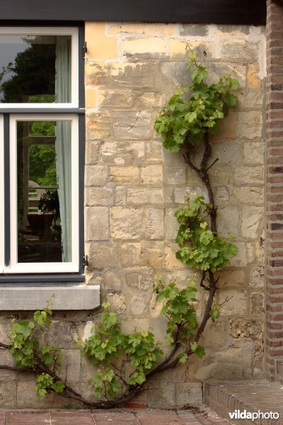 Mergelwoning te Lombok