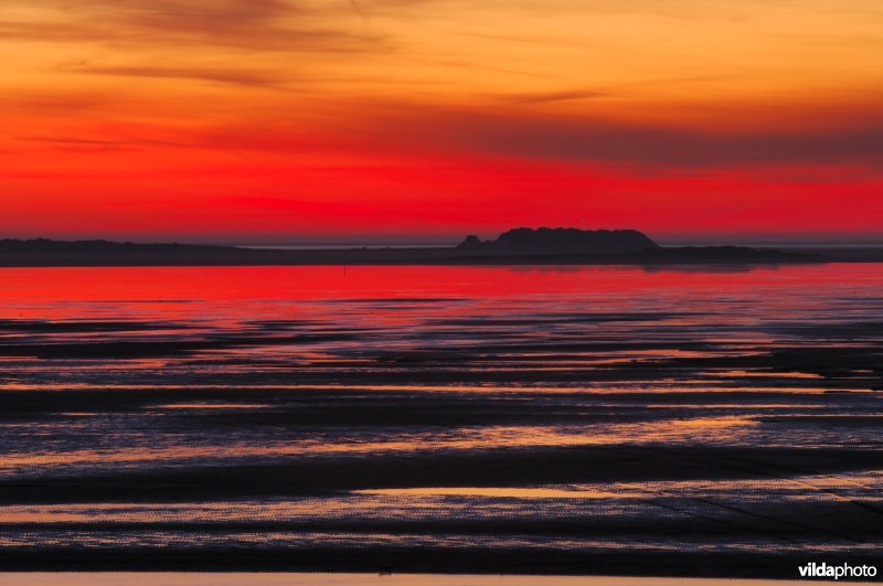 Strand van Terschelling