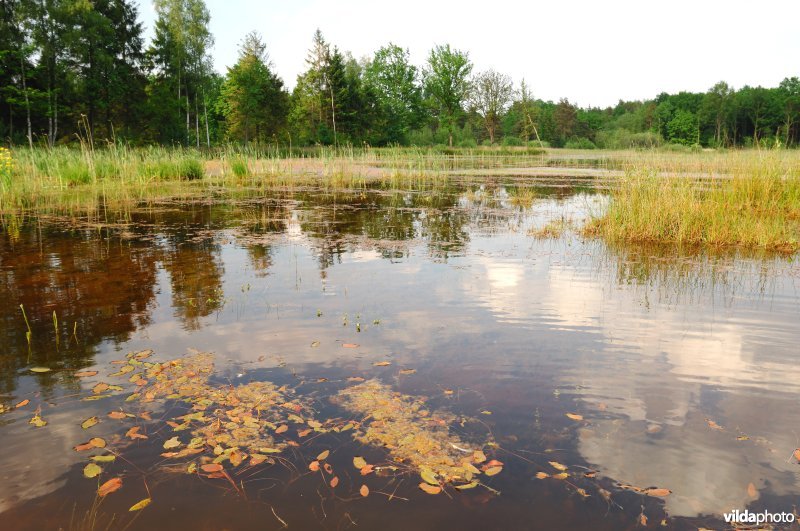 Natuurreservaat Langdonken