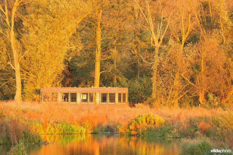 Natuurreservaat de Bourgoyen