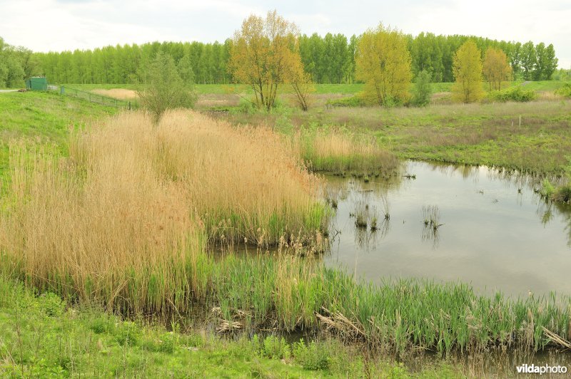 Lippenbroek