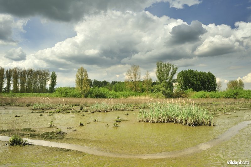 Lippenbroek bij laagtij