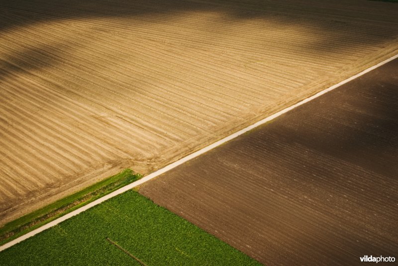 Modern agrarisch cultuurlandschap