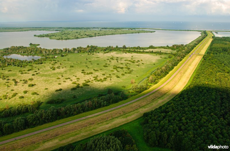Knardijk en Oostvaardersplassen