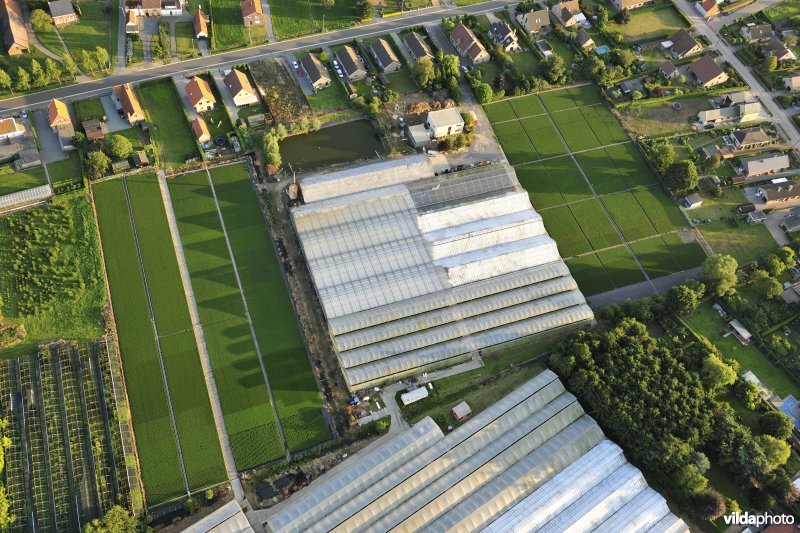 Glastuinbouw