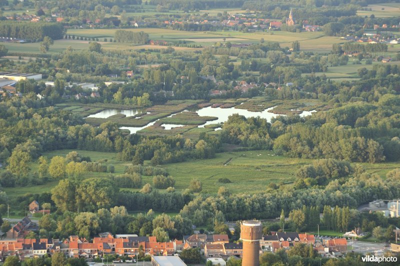 Molsbroek in Lokeren