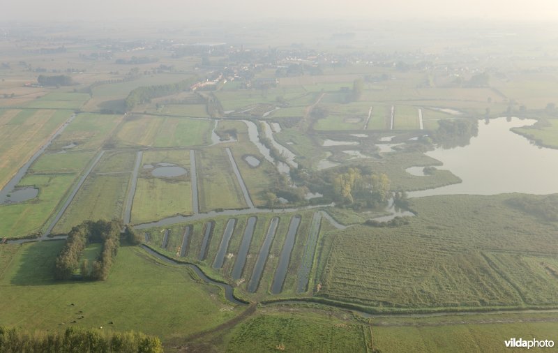 Natuurinrichtingsproject De Blankaart