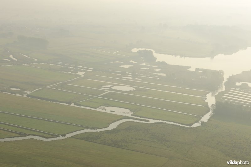 Natuurinrichtingsproject De Blankaart