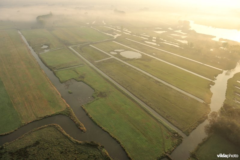 Natuurinrichtingsproject De Blankaart