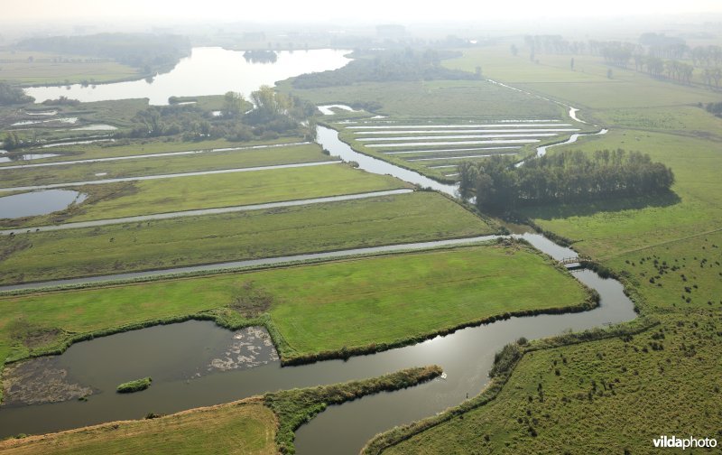 Natuurinrichtingsproject De Blankaart