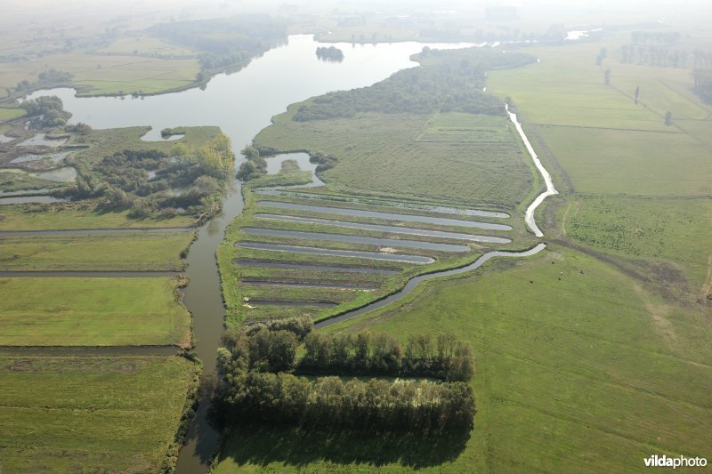 Natuurinrichtingsproject De Blankaart