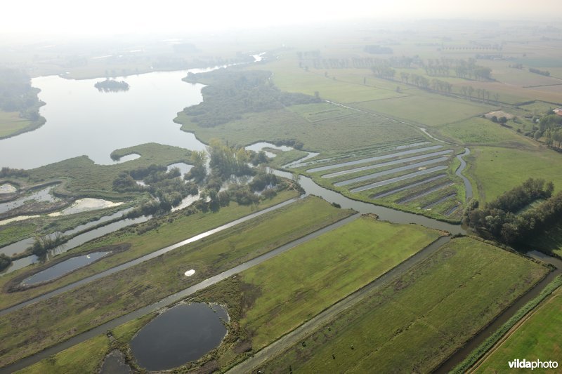 Natuurinrichtingsproject De Blankaart