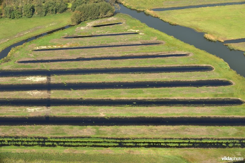 Natuurinrichtingsproject De Blankaart