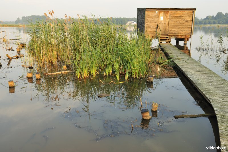 Observatiehut in het Vinne