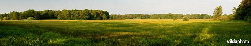 Stroomdalgrasland panorama