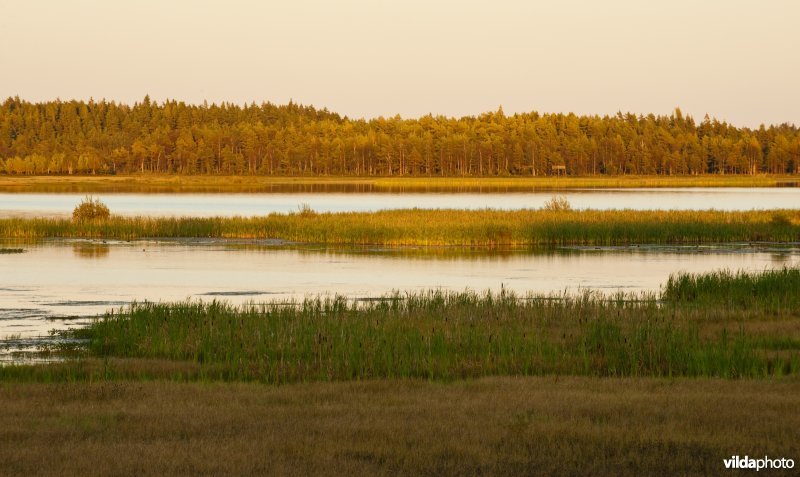 Meer van Kävsjön, Zweden