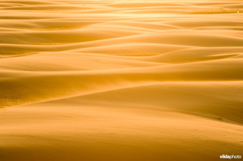 Zandstorm op het strand