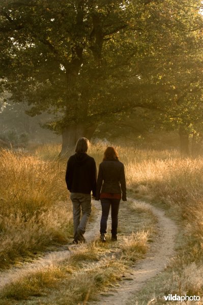 Wandelaars in de Meinweg