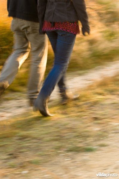 Wandelaars op zandweg