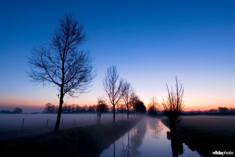 Rhijnauwen