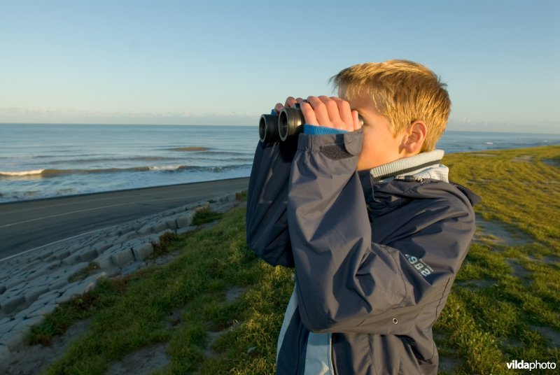 Jonge vogelaar in actie met verrekijker