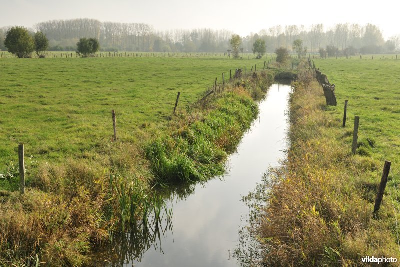 De Weimeersen deel 1 in de Kalkense meersen