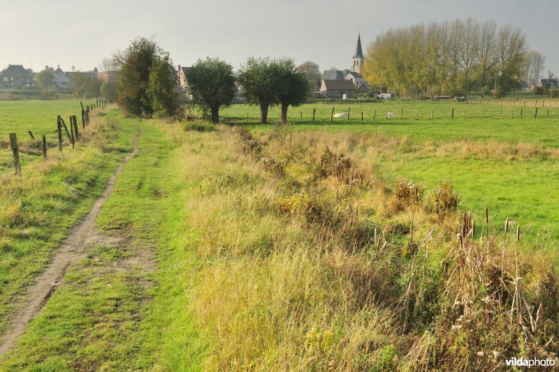 De Weimeersen deel 1 in de Kalkense meersen