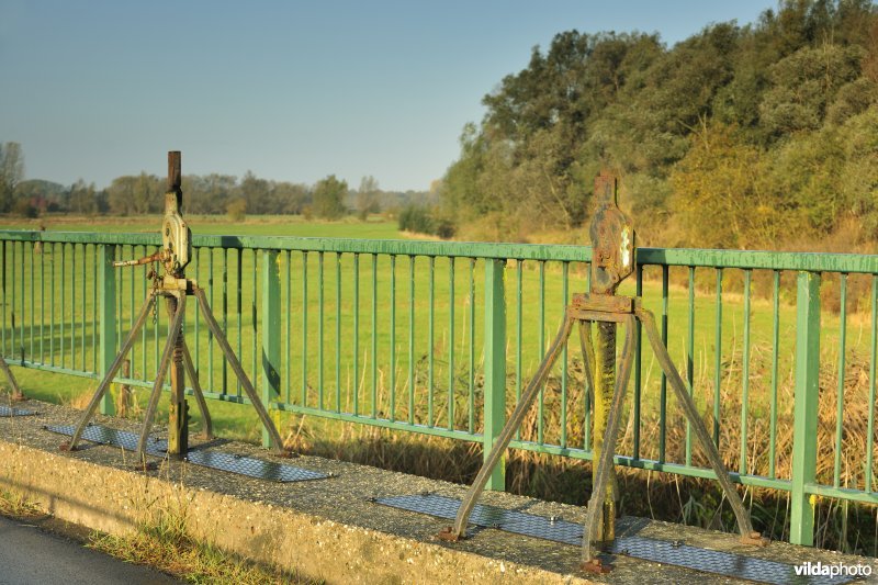 Oude Schelde in de Kalkense Meersen