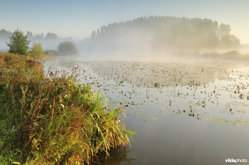 Oude Schelde in de Scherenmeersen