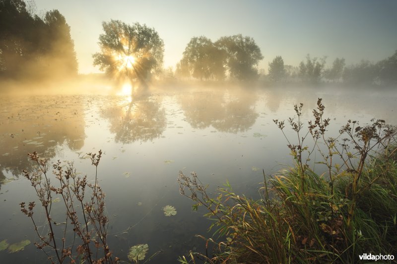 Oude Schelde in de Scherenmeersen